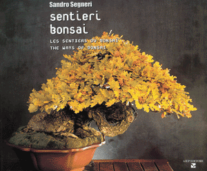 Sentieri Bonsai